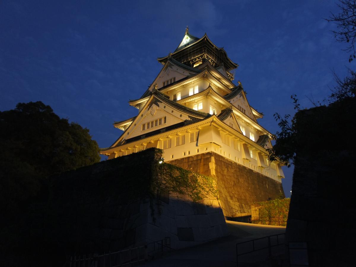 酒店 大阪梅田国际酒店 大阪